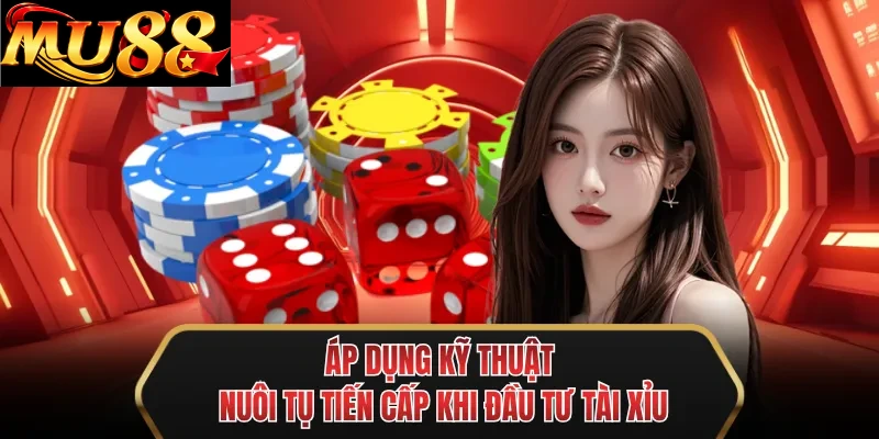 ap dung ky thuat nuoi tu tien cap khi dau tu tai xiu